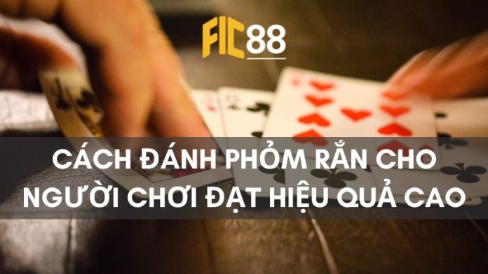 Hướng dẫn chi tiết cách đánh phỏm rắn cho người chơi đạt hiệu quả cao