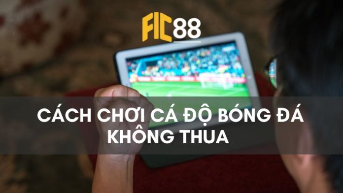 [Bật mí] Cách chơi cá độ bóng đá không thua mà người chơi nên biết