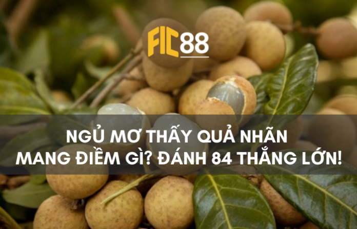 Mơ thấy quả nhãn đánh con gì? Ý nghĩa giấc mơ thấy ăn nhãn