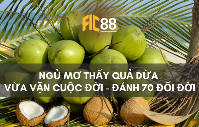 Nằm mơ thấy quả dừa đánh con gì? Ý nghĩa giấc mơ thấy trái dừa