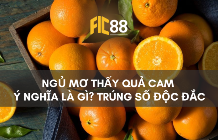 Giải mã những giấc mơ thấy quả cam điềm gì và nên đánh con gì?