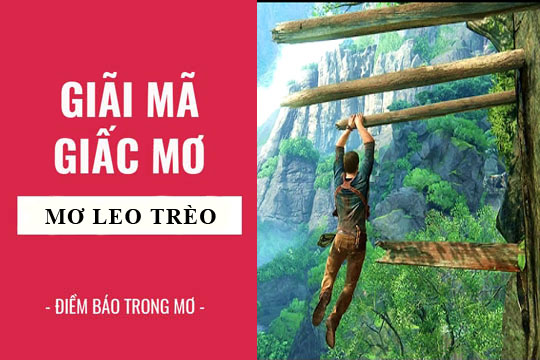 Nằm mơ thấy trèo cây đánh con gì – Ý nghĩa giấc mơ treo cây