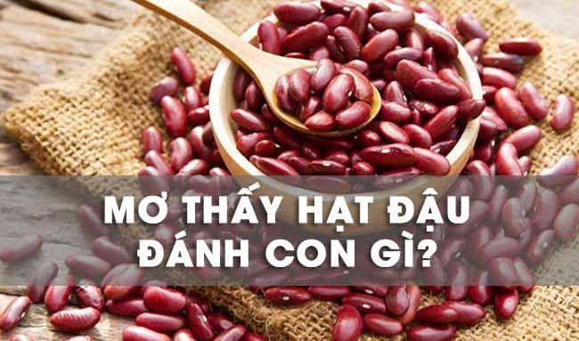 Apa artinya memimpikan kacang?  Apa yang paling mudah dipukul? 