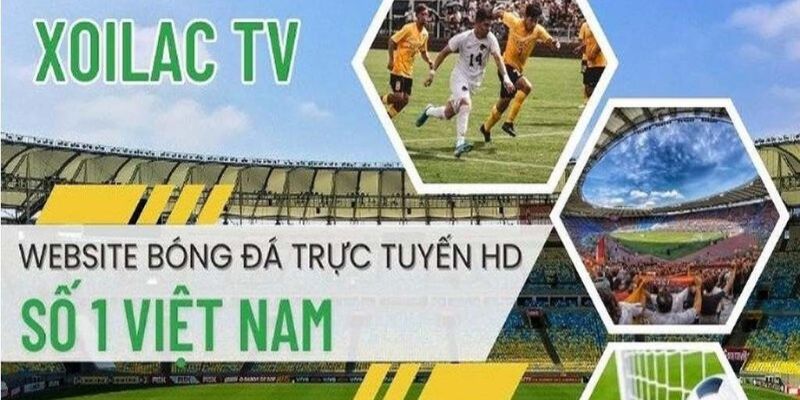 Xoilac TV - Địa chỉ xem trực tiếp bóng đá uy tín hàng đầu thị trường